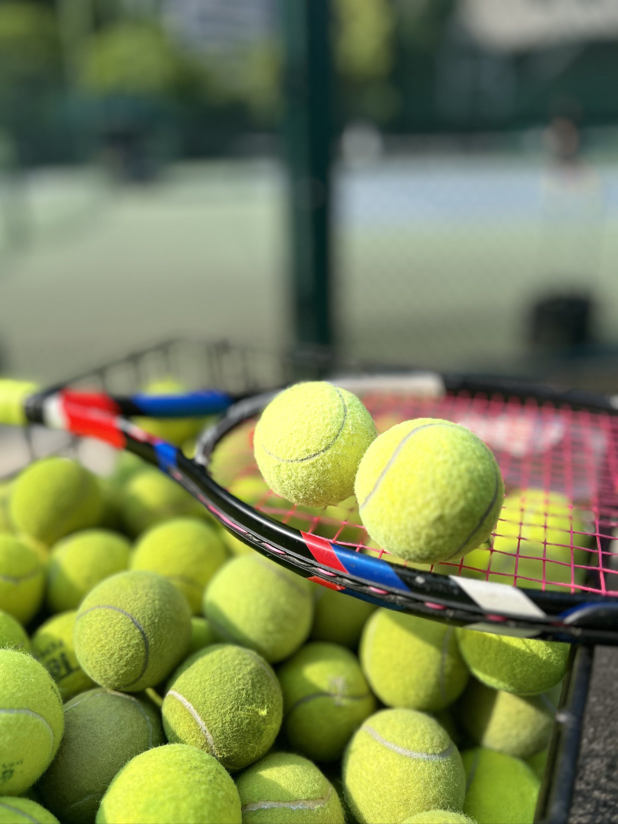 影响与机遇 影响与机遇