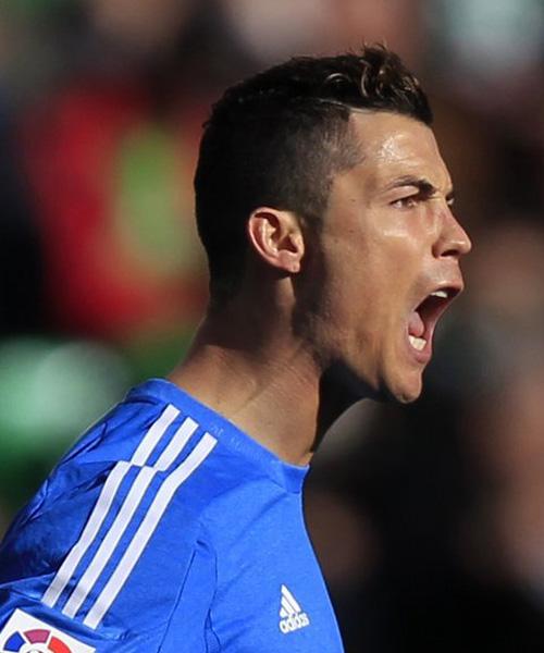 显示出他们 显示出他们